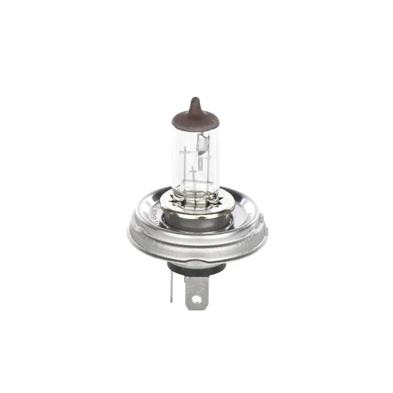Žárovka BOSCH R2 45/40W 12V P45T (1 kus) | Lze objednat