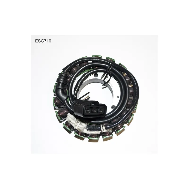 Akční sleva - ELECTROSPORT VINUTÍ ALTERNÁTORU (STATOR) TRIUMPH ROCKET III (05-10)